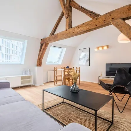 Charming Rooftop In Old Lille!