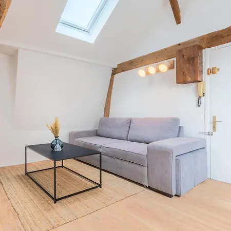 Charming Rooftop In Old Lille! Apartment *