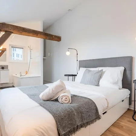 Apartment Charming Rooftop In Old Lille!